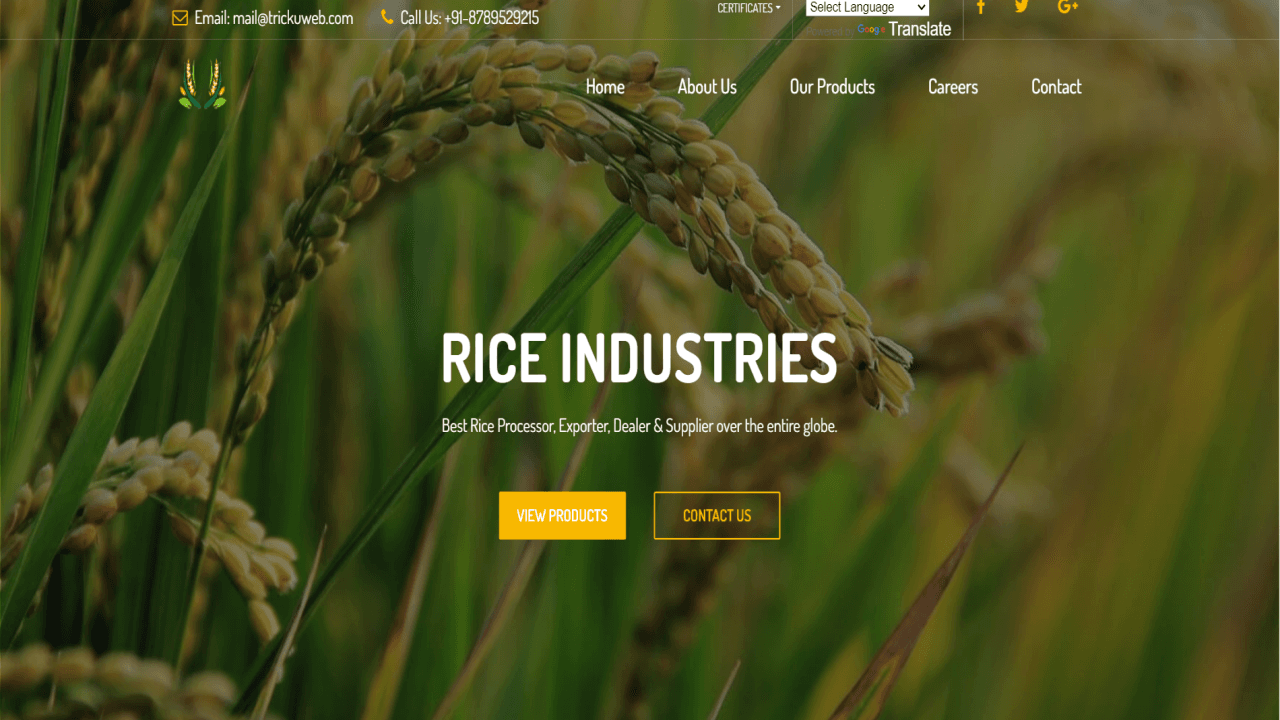 Free Rice Merchant and Trader Website Template Bootstrap